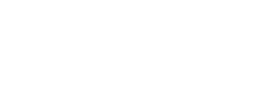 Androdent